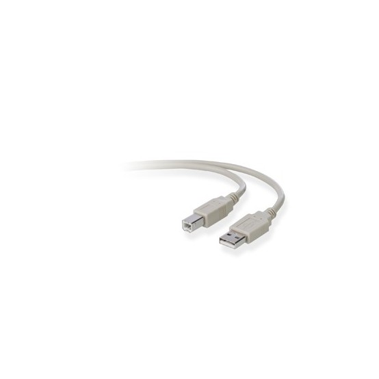 Cablu Belkin F3U133b06