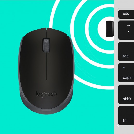 Mouse Logitech B170 910-004798