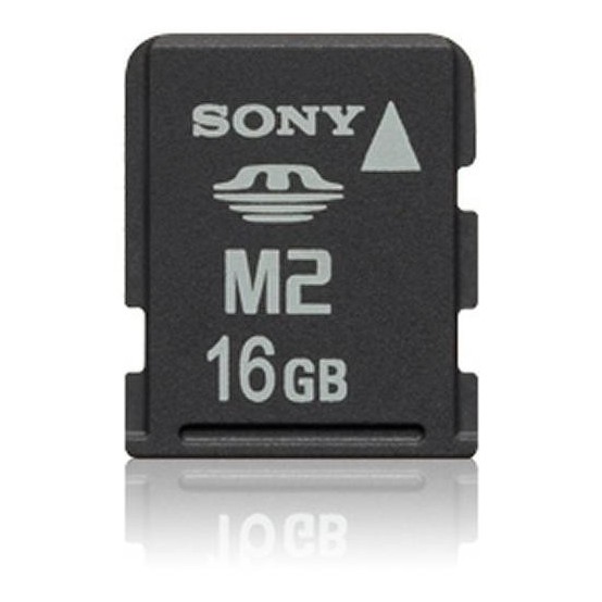 Card memorie Sony MSA16GU2
