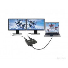 Placa video Matrox DualHead2Go DualDigita Edition D2G-A2D-IF