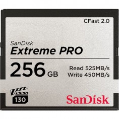 Card memorie SanDisk Extreme PRO SDCFSP-256G-G46D