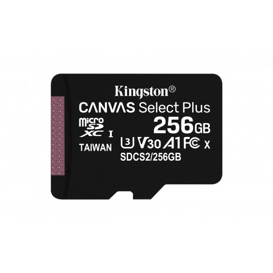 Card memorie Kingston Canvas Select Plus SDCS2/256GB