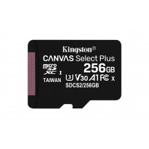 Card memorie Kingston Canvas Select Plus SDCS2/256GB