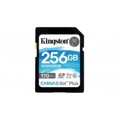 Card memorie Kingston Canvas Go Plus SDG3/256GB