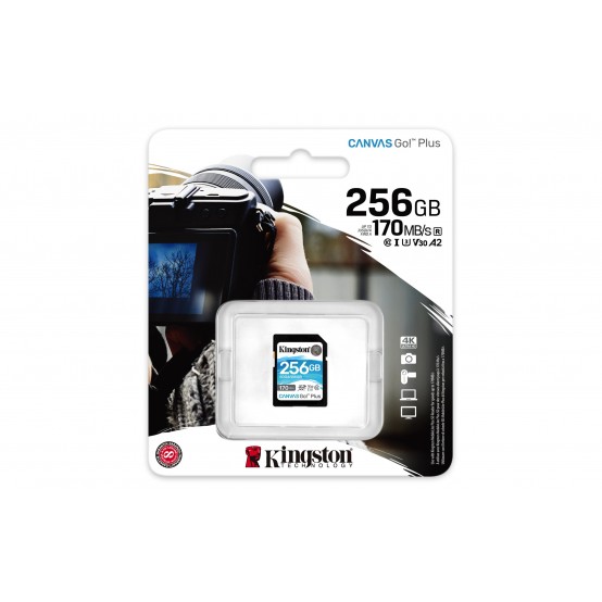 Card memorie Kingston Canvas Go Plus SDG3/256GB