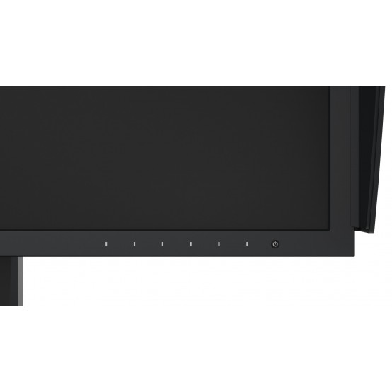 Monitor LCD Eizo CG2420
