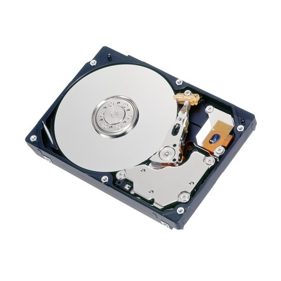 Hard disk Fujitsu S26361-F3907-L100