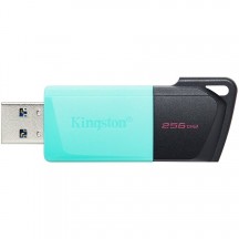 Memorie flash USB Kingston  DTXM/256GB