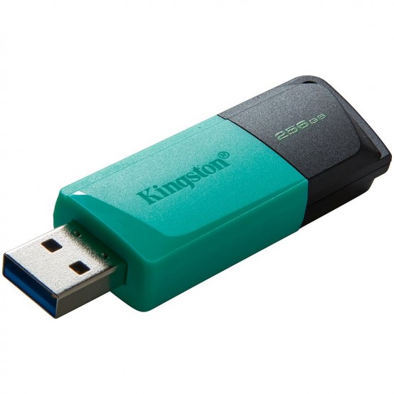 Memorie flash USB Kingston  DTXM/256GB