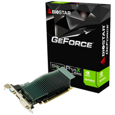 Placa video Biostar  G2101GB D3 LP