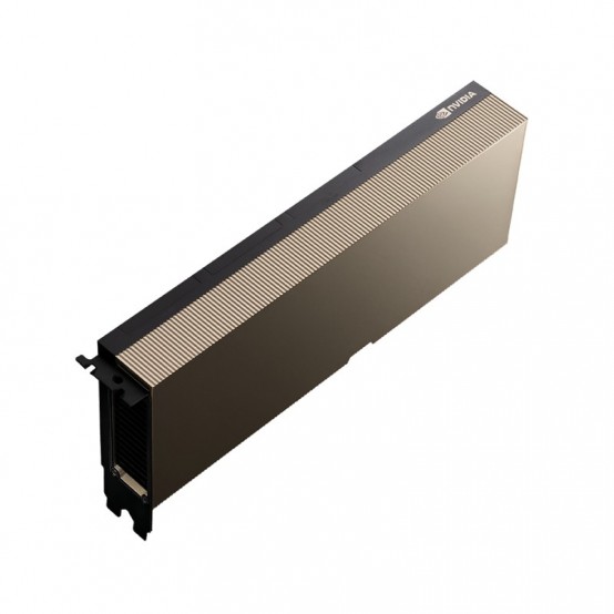 Placa video PNY  TCSA100M-80GB-PB