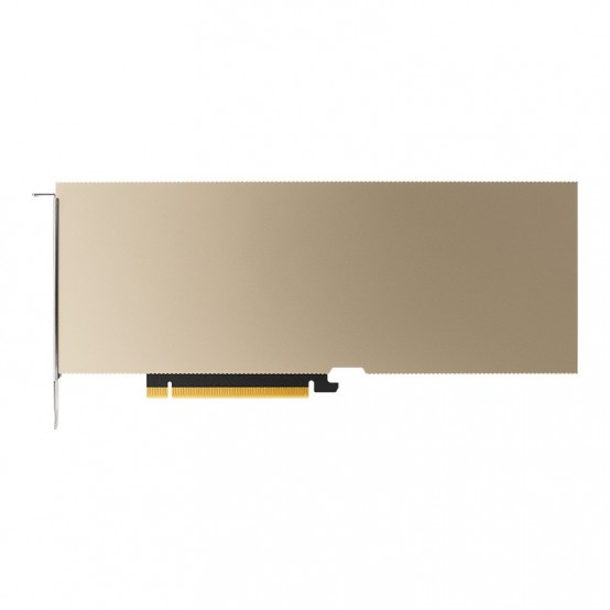 Placa video PNY NVIDIA A10 TCSA10M-PB