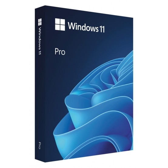 Sistem de operare Microsoft Windows 11 Pro HAV-00163
