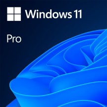 Sistem de operare Microsoft Windows 11 Pro FQC-10528
