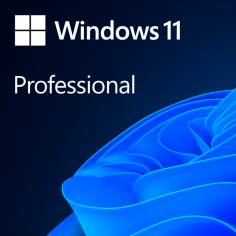Sistem de operare Microsoft Windows 11 Pro FQC-10572