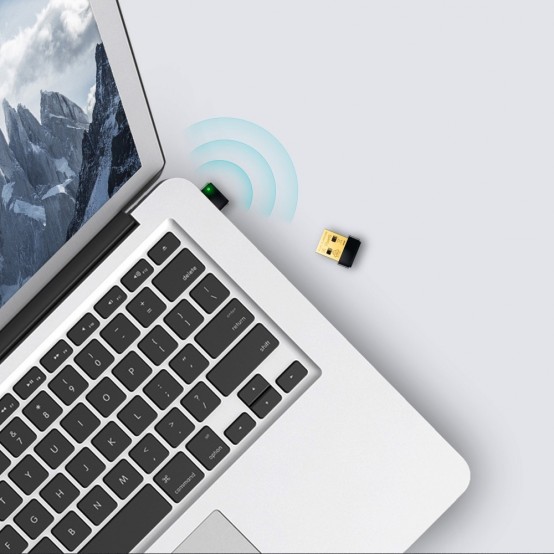 Placa de retea TP-Link TL-WN725N