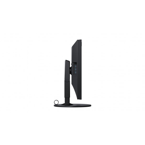 Monitor Eizo CG319X