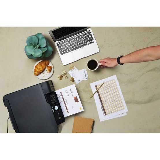 Imprimanta Epson EcoTank L3160 C11CH42403