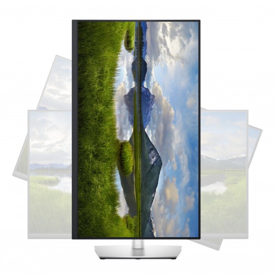 Monitor Dell P3221D 210-AXNJ