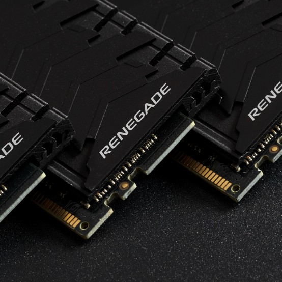 Memorie Kingston FURY Renegade Black KF426C15RBK4/128