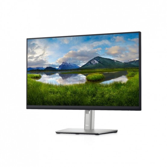 Monitor Dell P2422HE 210-BBBG
