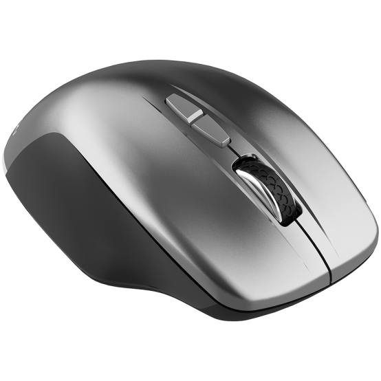 Mouse Canyon MW-21 CNS-CMSW21DG