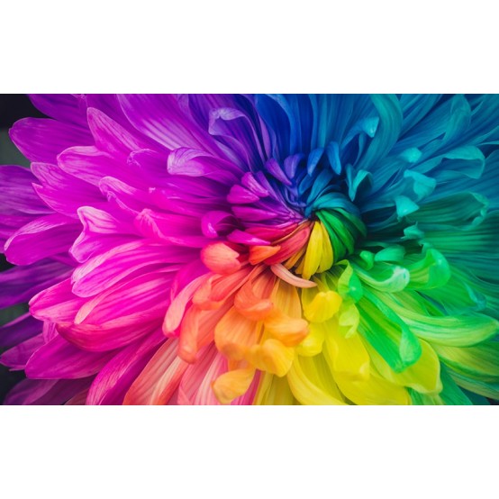 Videoproiector Epson EF-11 V11HA23040