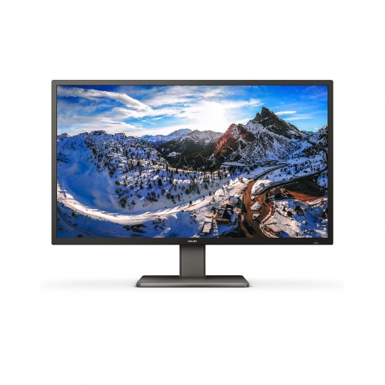 Monitor Philips P Line 439P1/00