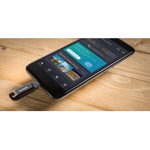 Memorie flash USB SanDisk  SDDDC3-256G-G46