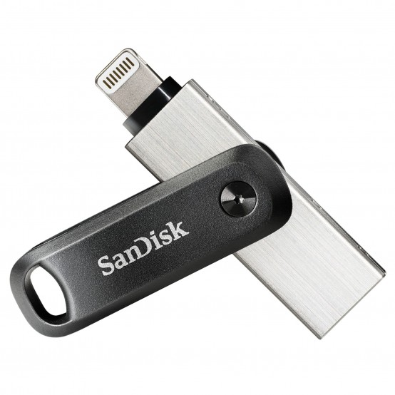 Memorie flash USB SanDisk  SDIX60N-256G-GN6NE