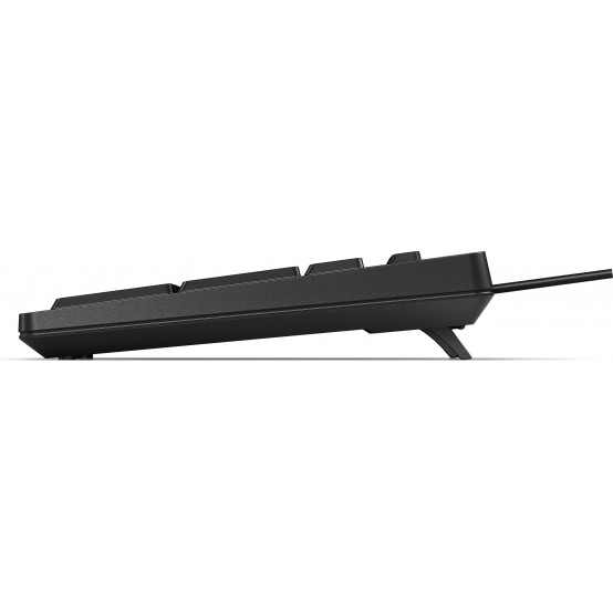 Tastatura HP Wired Keyboard 125 266C9AA