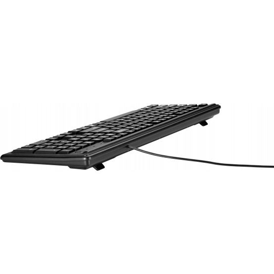 Tastatura HP Keyboard 100 2UN30AA