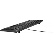 Tastatura HP Keyboard 100 2UN30AA