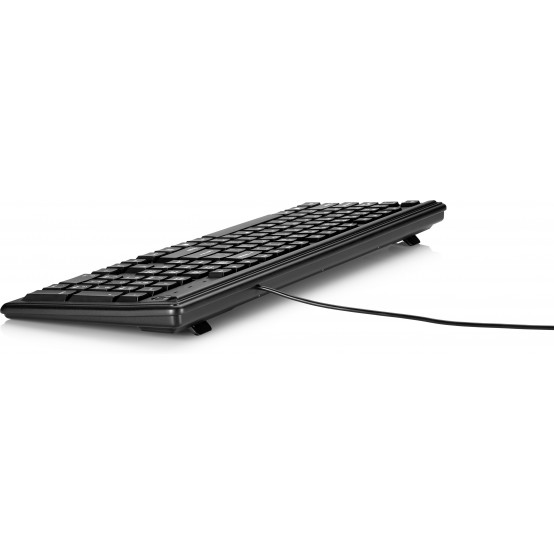 Tastatura HP Keyboard 100 2UN30AA