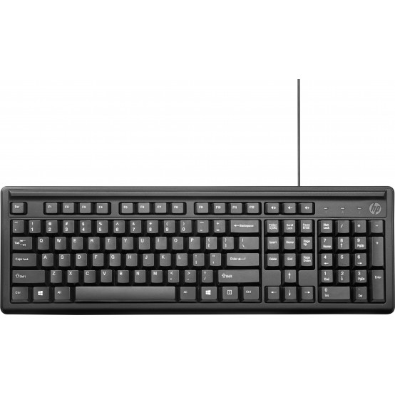 Tastatura HP Keyboard 100 2UN30AA