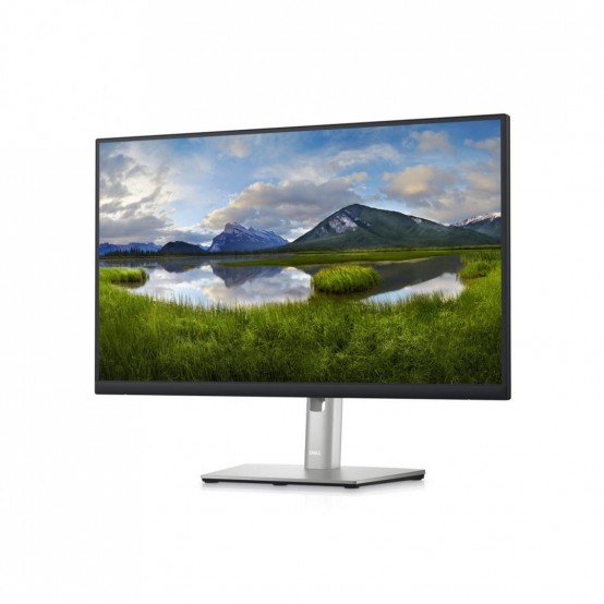 Monitor Dell P2423DE 210-BDDW