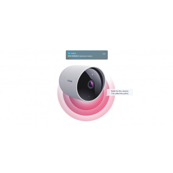Camera de supraveghere D-Link DCS-8302LH