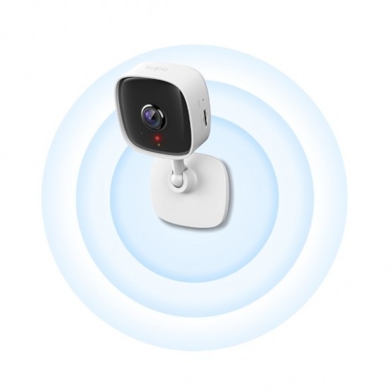 Camera de supraveghere TP-Link TAPO C110