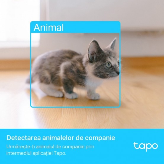 Camera de supraveghere TP-Link TAPO C225
