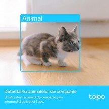 Camera de supraveghere TP-Link TAPO C225