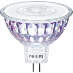 Bec Philips  000008718699783907
