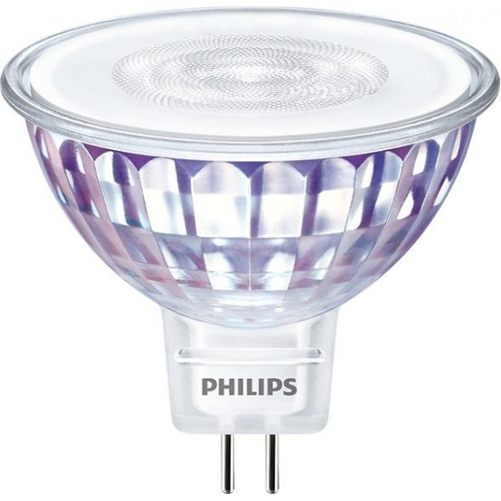 Bec Philips  000008718699783907