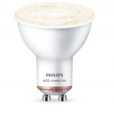 Bec Philips  000008719514372306