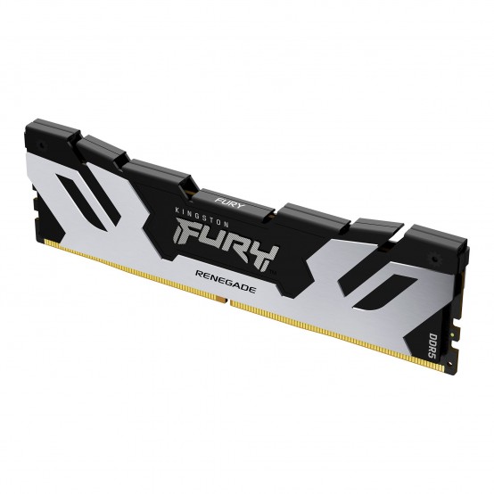 Memorie Kingston FURY Renegade Silver KF560C32RS-16