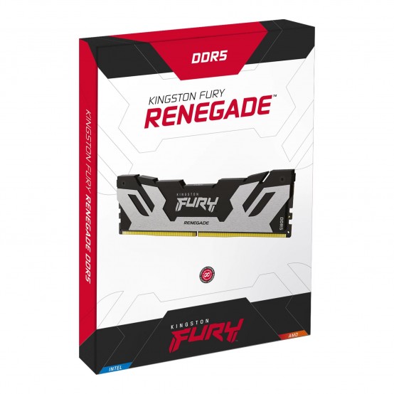 Memorie Kingston FURY Renegade Silver KF560C32RS-16