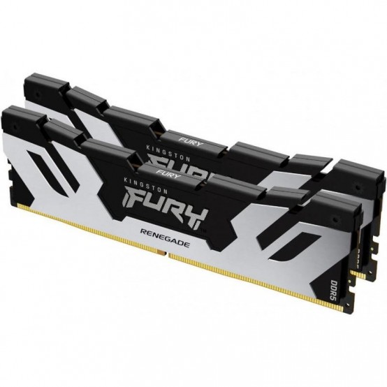 Memorie Kingston FURY Renegade Silver KF560C32RSK2-32