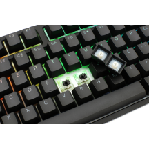 Tastatura Ducky One 2 RGB DKON1808ST-CUSPDAZT1