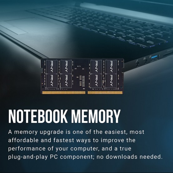 Memorie PNY  MN16GK2D42400