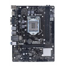 Placa de baza Biostar  B250MHC