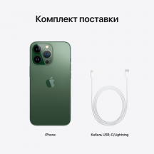 Telefon Apple iPhone 13 Pro MNE53RM/A